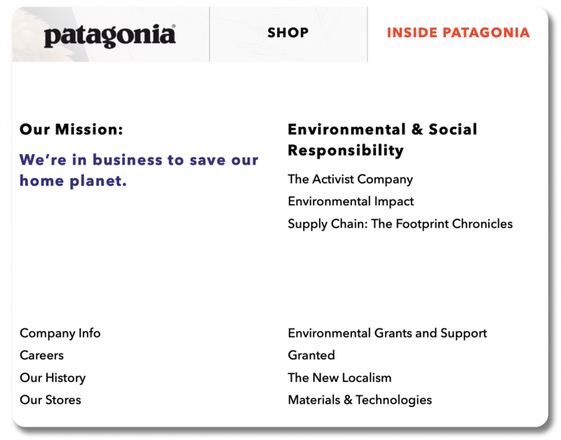 Screenshot of Patagonia's site, with a navigational tab dedicated to their environmental work