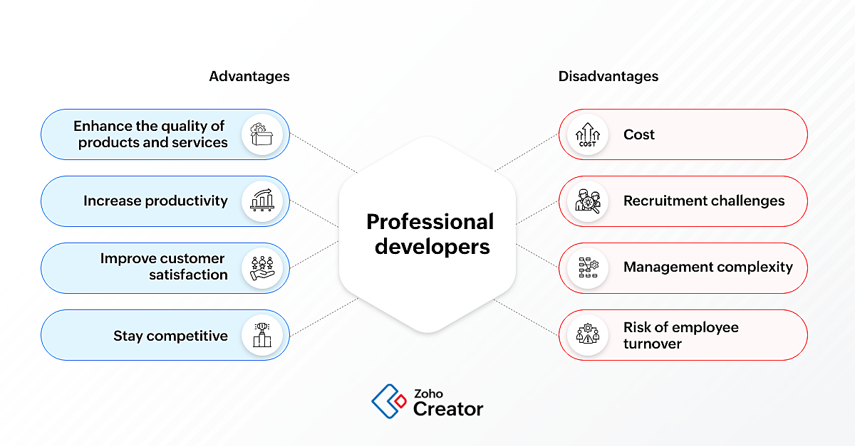 advantages and disadvantages of professional developers