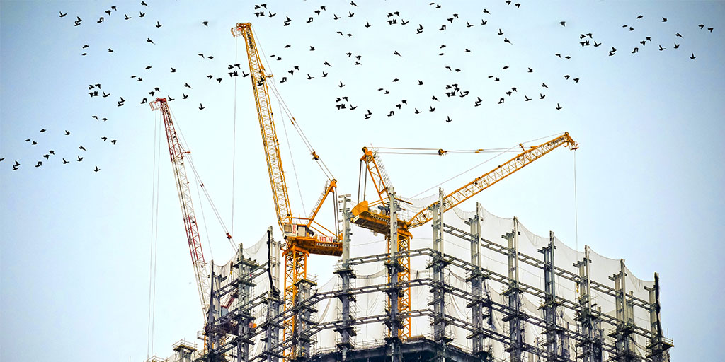 Low-angle photo of cranes on top of building surrounded by birds