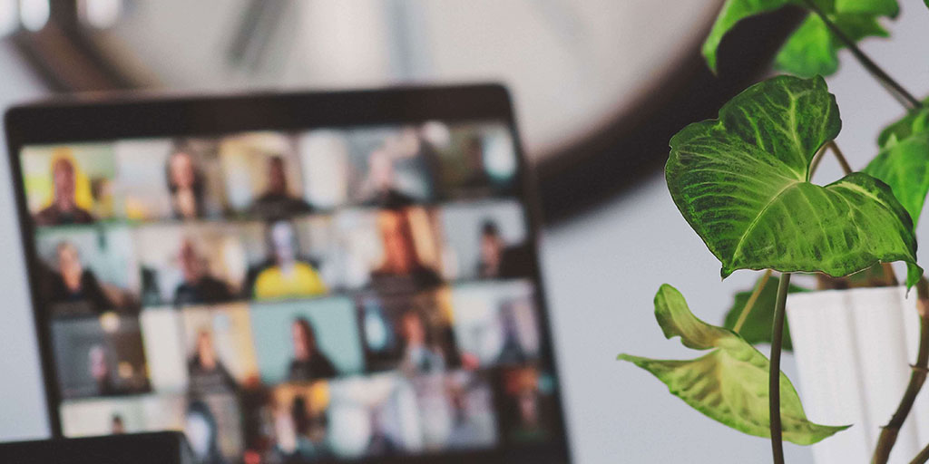 photo of a slightly blurry video call in the right side of the image with a more focussed indoor pot plant on the right